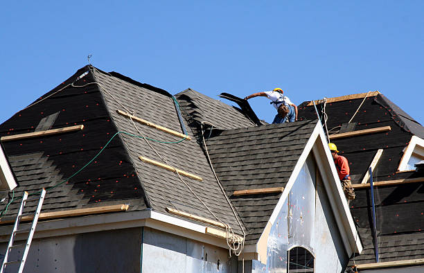 Best Metal Roofing Contractor  in Winnebago, MN