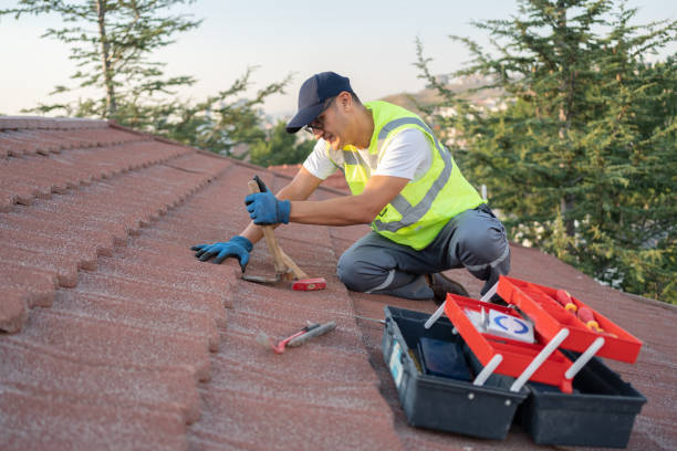 Professional Roofing Contractor in Winnebago, MN