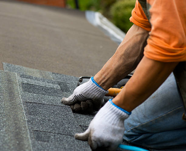 Quick and Trustworthy Emergency Roof Repair Services in Winnebago, MN