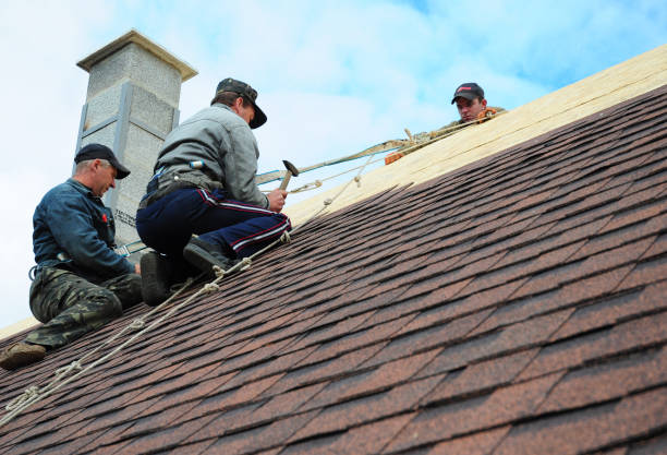 Quick and Trustworthy Emergency Roof Repair Services in Winnebago, MN