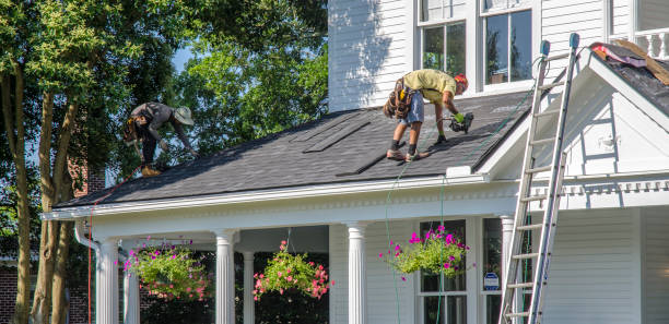 Best Roof Gutter Cleaning  in Winnebago, MN